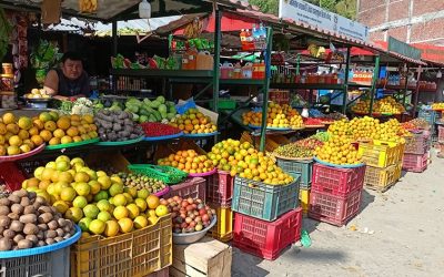 तरकारी र फलफूलमा ‘भ्याट’ नलगाउन माग