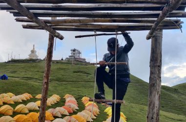 चौँरीसँग जङ्गली बसाई कार्यक्रमको तयारी पूरा