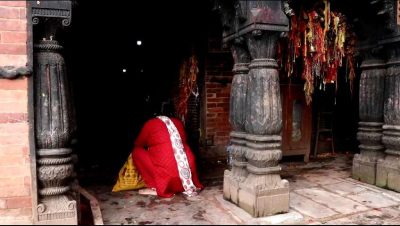 गोरखा दरबारमा राखियो ३ पाथी जौको जमरा