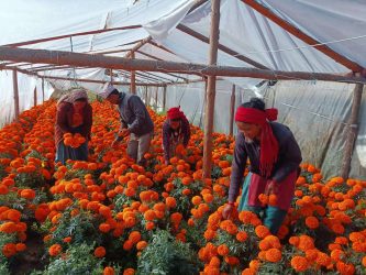 फूल बेचेर नै राम्रो आम्दानी गर्दै