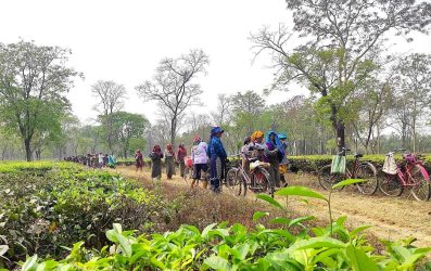 श्रमिकका लागि कार्यस्थलको सुरक्षामा जोड